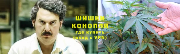 дмт Корсаков