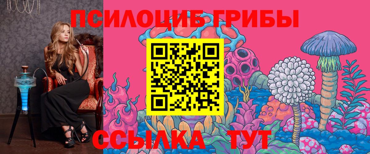 Псилоцибиновые грибы Psilocybine cubensis  Костомукша 