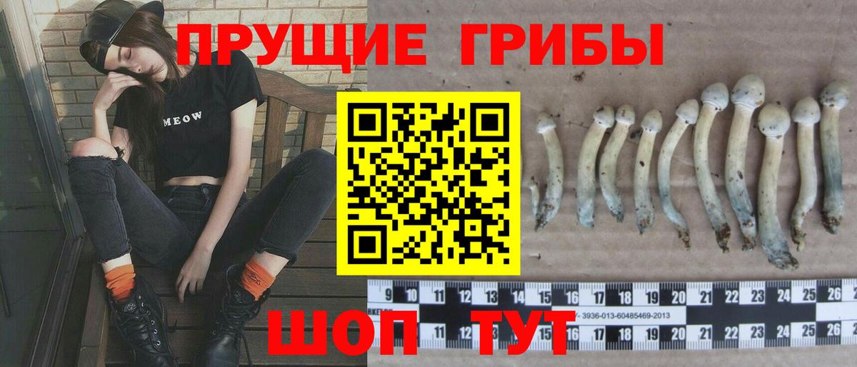 цены наркотик  Вход с VPN  Костомукша  Галлюциногенные грибы GOLDEN TEACHER 